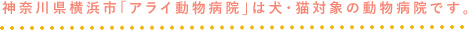 神奈川県横浜市「アライ動物病院」は犬・猫対象の動物病院です。